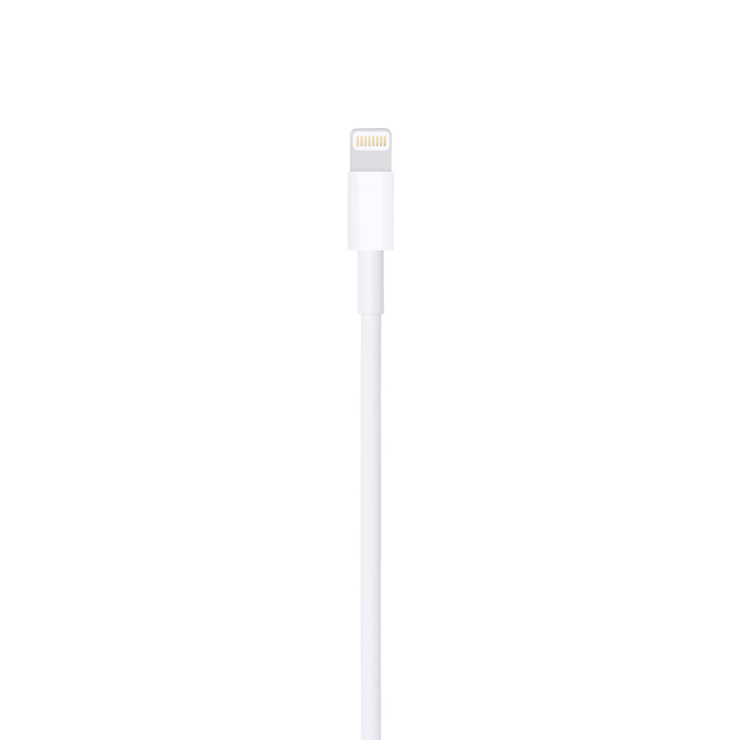 Apple 2m Lightning to USB cable in white for charging and data transfer
