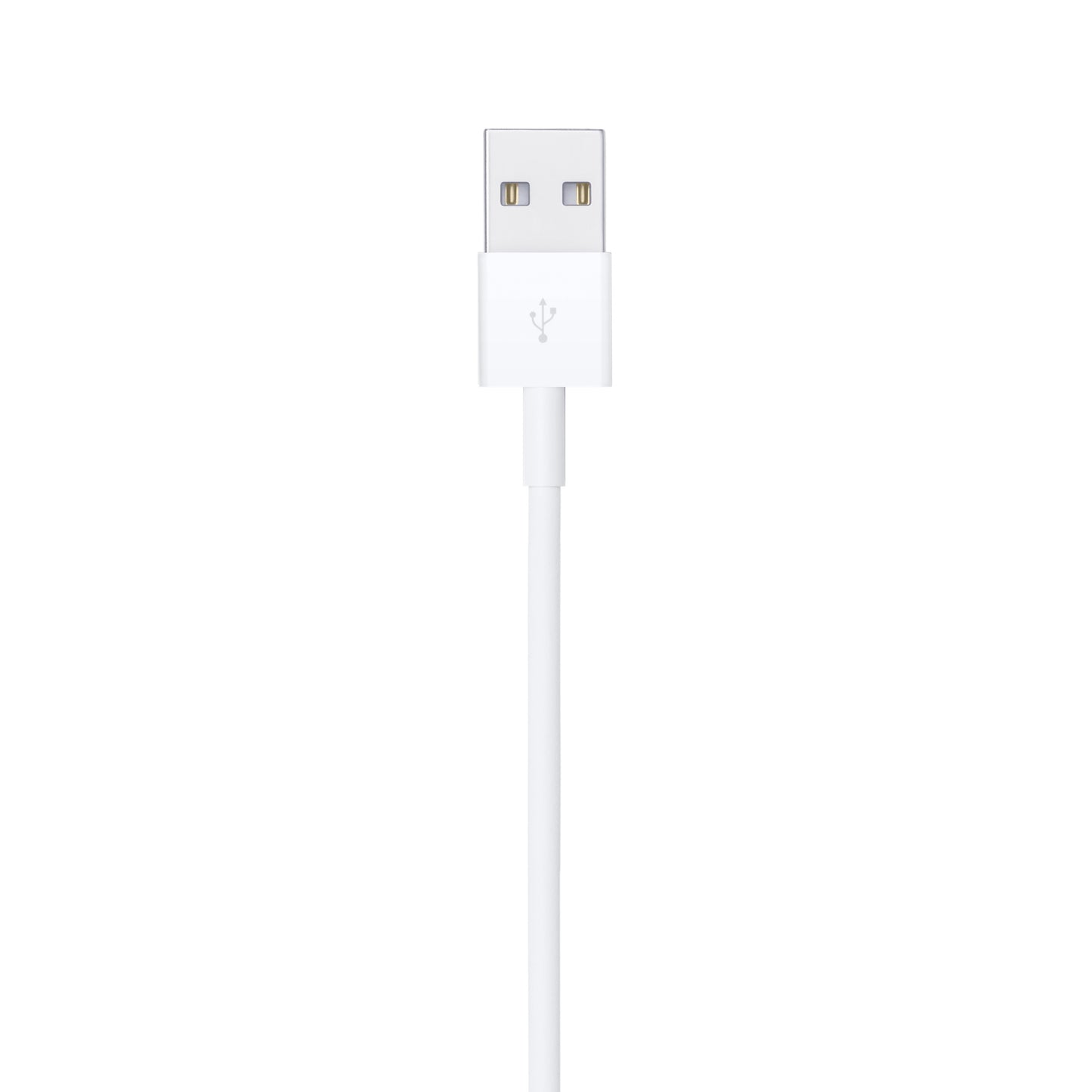 Apple 2m Lightning to USB cable in white with USB connector visible on a white background