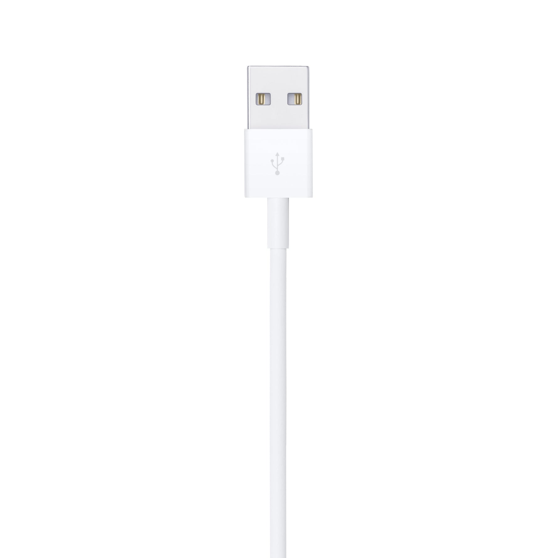 Apple 2m Lightning to USB cable in white with USB connector visible on a white background