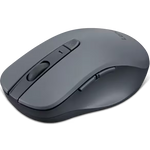 Lenovo BO Wireless BT 310 Mouse (GY51Q65621) | Bluetooth Mouse
